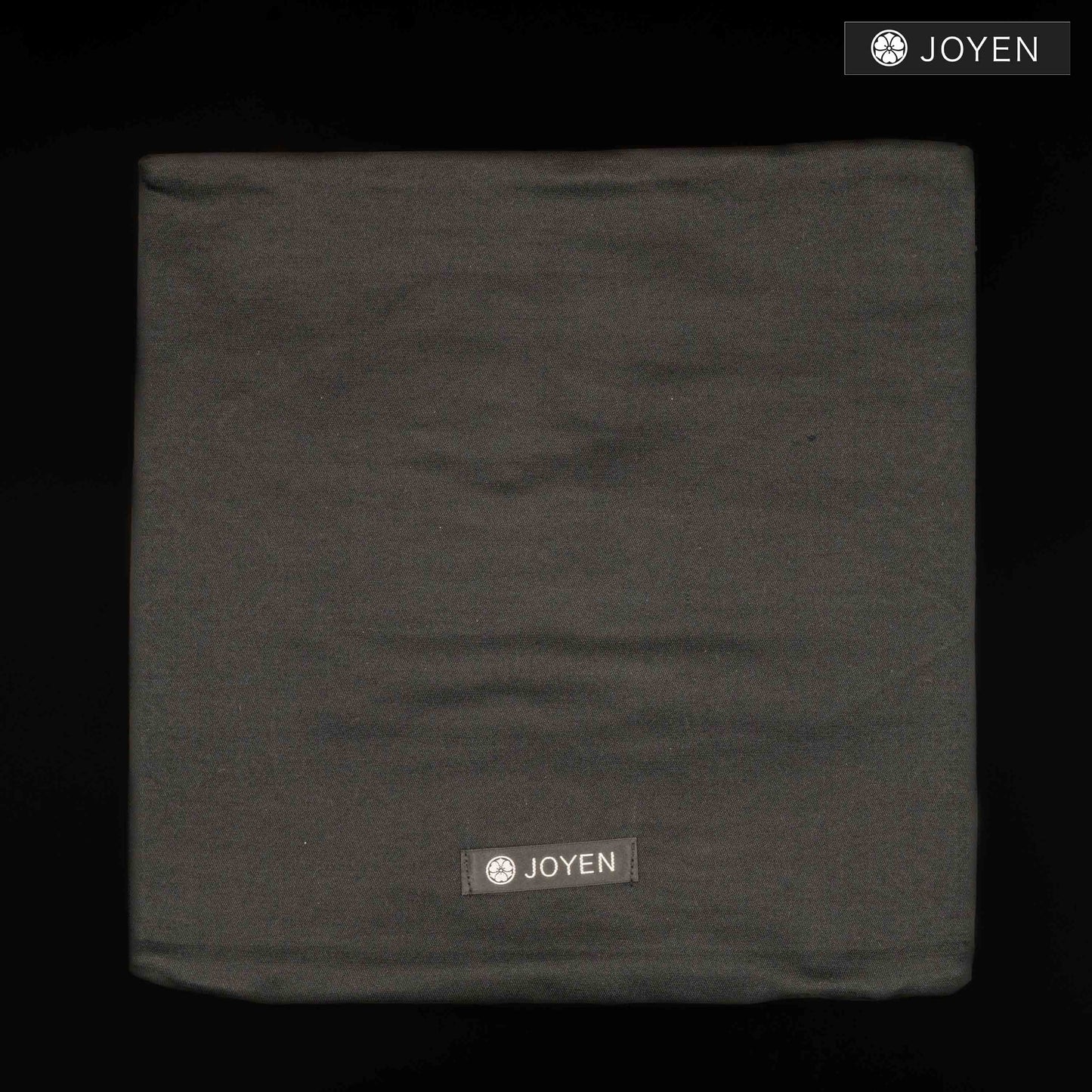 クッション 0542